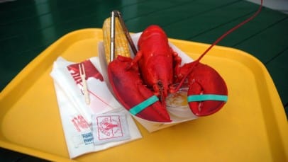 Lobster on Tray