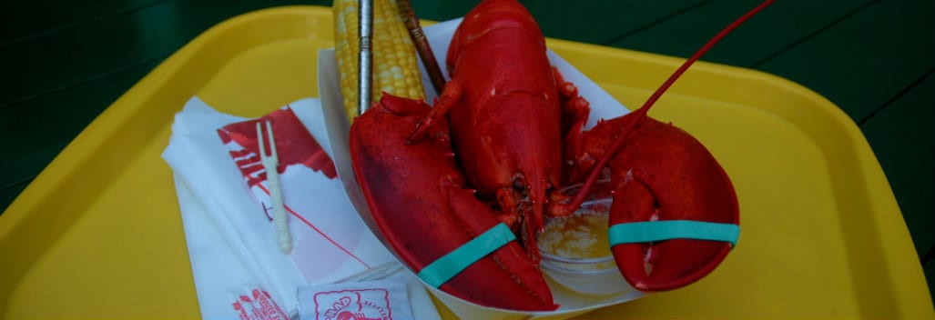 Lobster on Tray